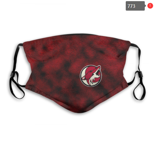 NHL Arizona Coyotes #2 Dust mask with filter